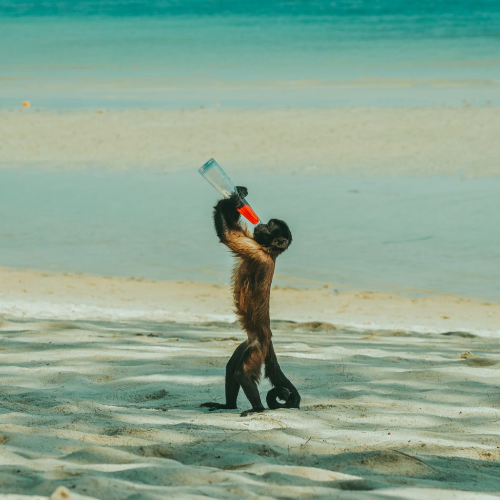 Still photographer in Thailand, Thailand Still photographer, Still photographer in South of Thailand, Still photographer in Phuket Thailand, Still photographer in Krabi Thailand, Professional still photographer, behind the scenes photographer in thailand, movie behind the scenes photographer in Thailand, Still photographer, ช่างภาพถ่ายเบื้องหลังภาพยนตร์