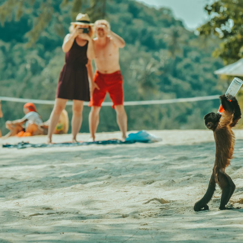 Still photographer in Thailand, Thailand Still photographer, Still photographer in South of Thailand, Still photographer in Phuket Thailand, Still photographer in Krabi Thailand, Professional still photographer, behind the scenes photographer in thailand, movie behind the scenes photographer in Thailand, Still photographer, ช่างภาพถ่ายเบื้องหลังภาพยนตร์