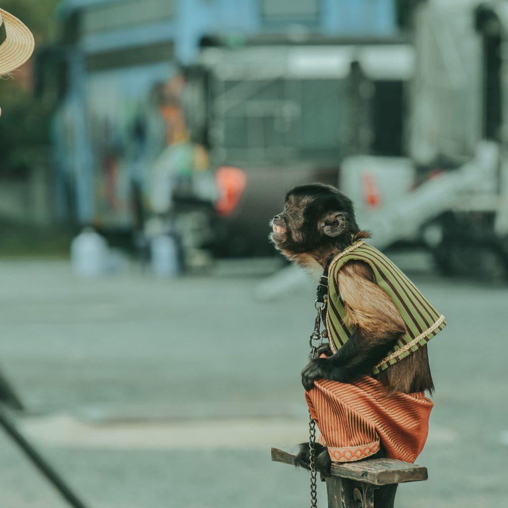 Still photographer in Thailand, Thailand Still photographer, Still photographer in South of Thailand, Still photographer in Phuket Thailand, Still photographer in Krabi Thailand, Professional still photographer, behind the scenes photographer in thailand, movie behind the scenes photographer in Thailand, Still photographer, ช่างภาพถ่ายเบื้องหลังภาพยนตร์